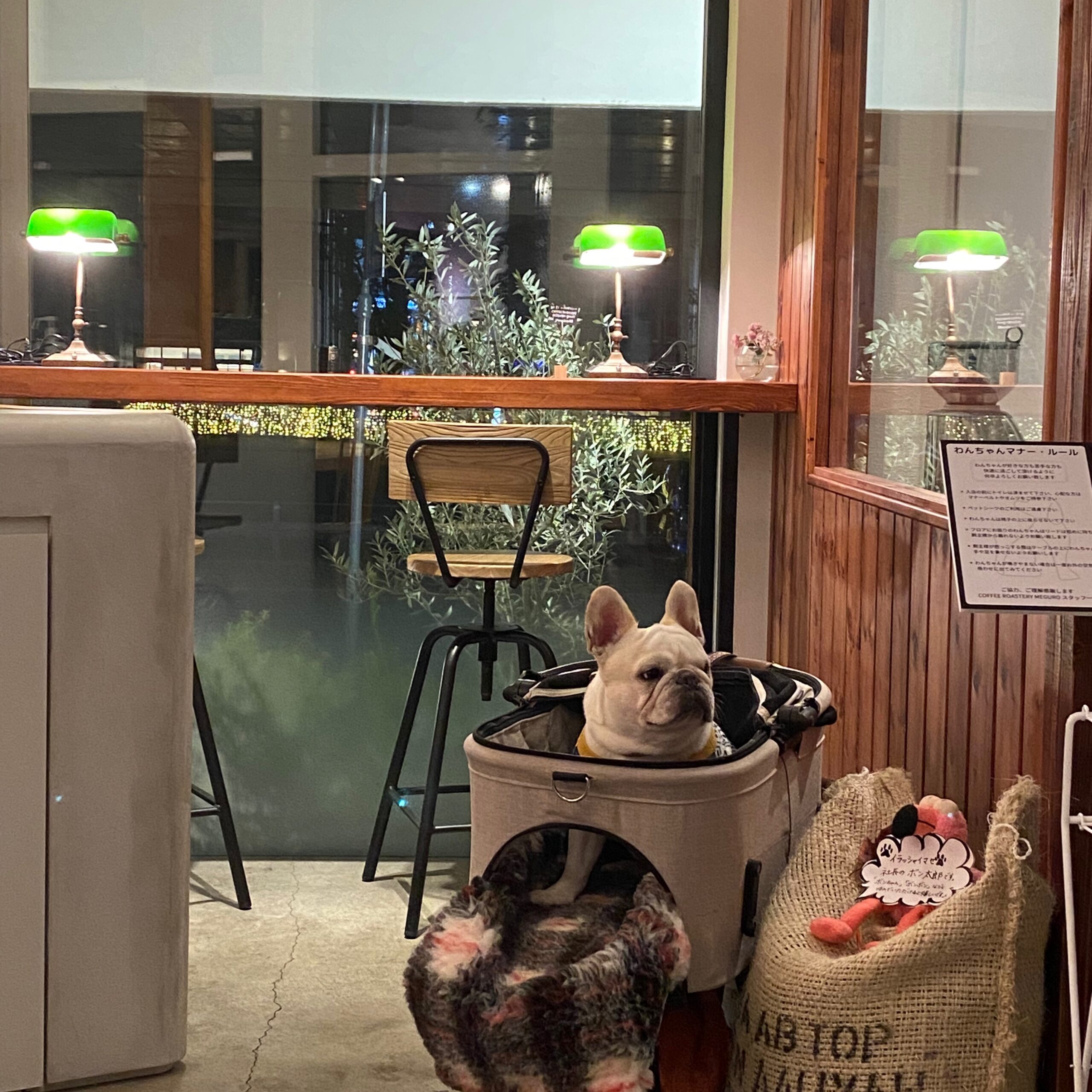 かふぇとぐるめ